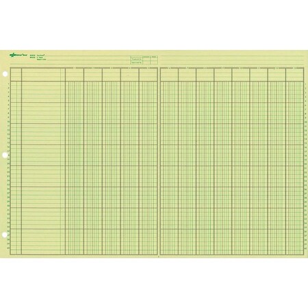 Rediform Pad, Analysis, 11X16-3/8, 13Co Pk RED45613